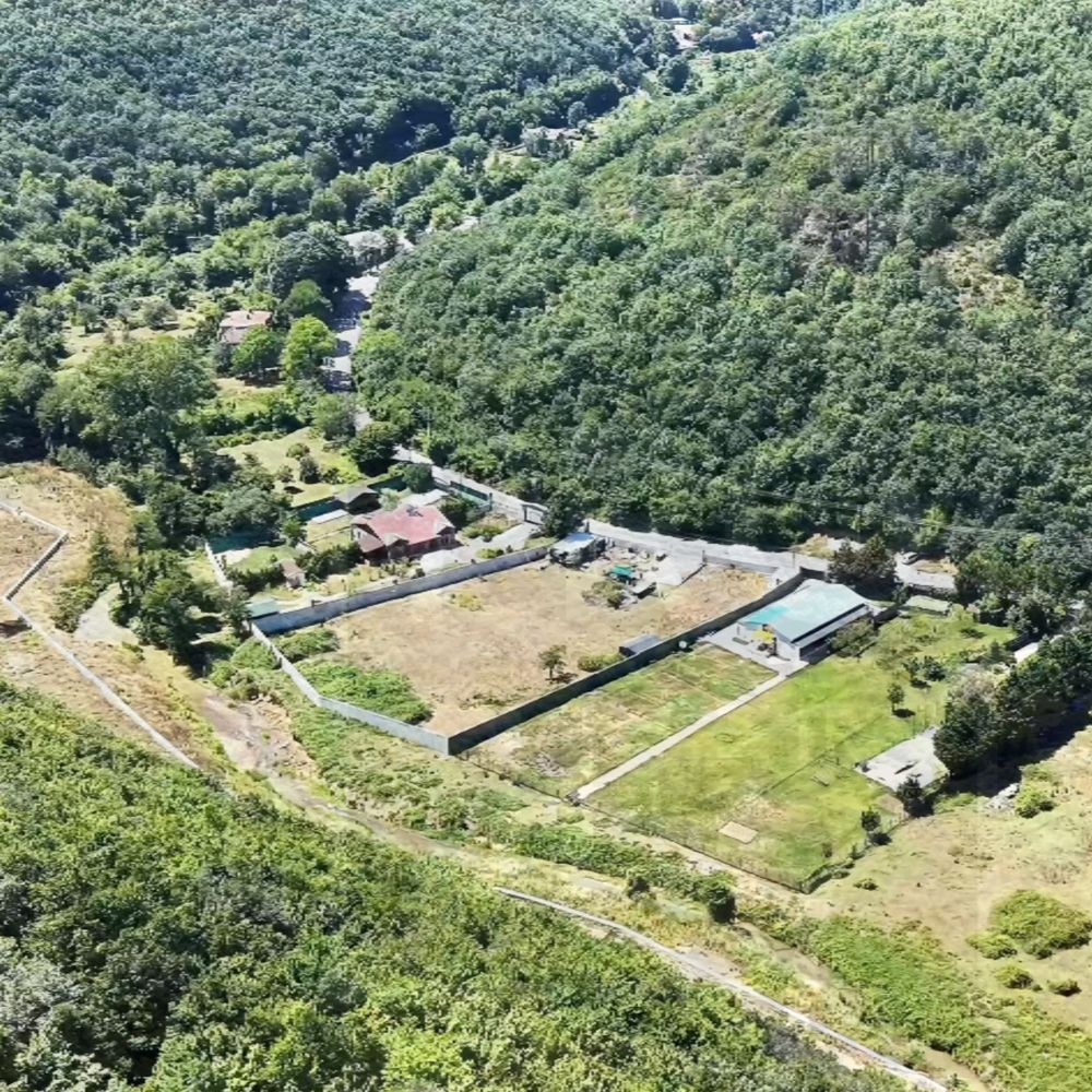 Şile Satmazlı'daki arazi çevresinin havadan görünümü
